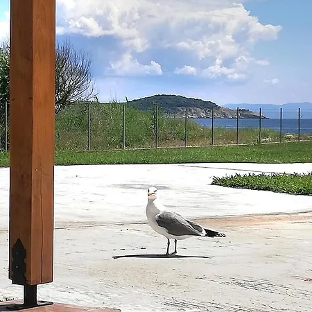Appartamento Kallisto • Ancient Stagira Apts • Chalkidiki Olympiada