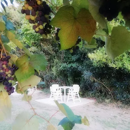 Appartamento Kallisto • Ancient Stagira Apts • Chalkidiki Olympiada